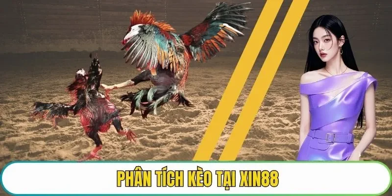 Phân tích kèo tại XIN88
